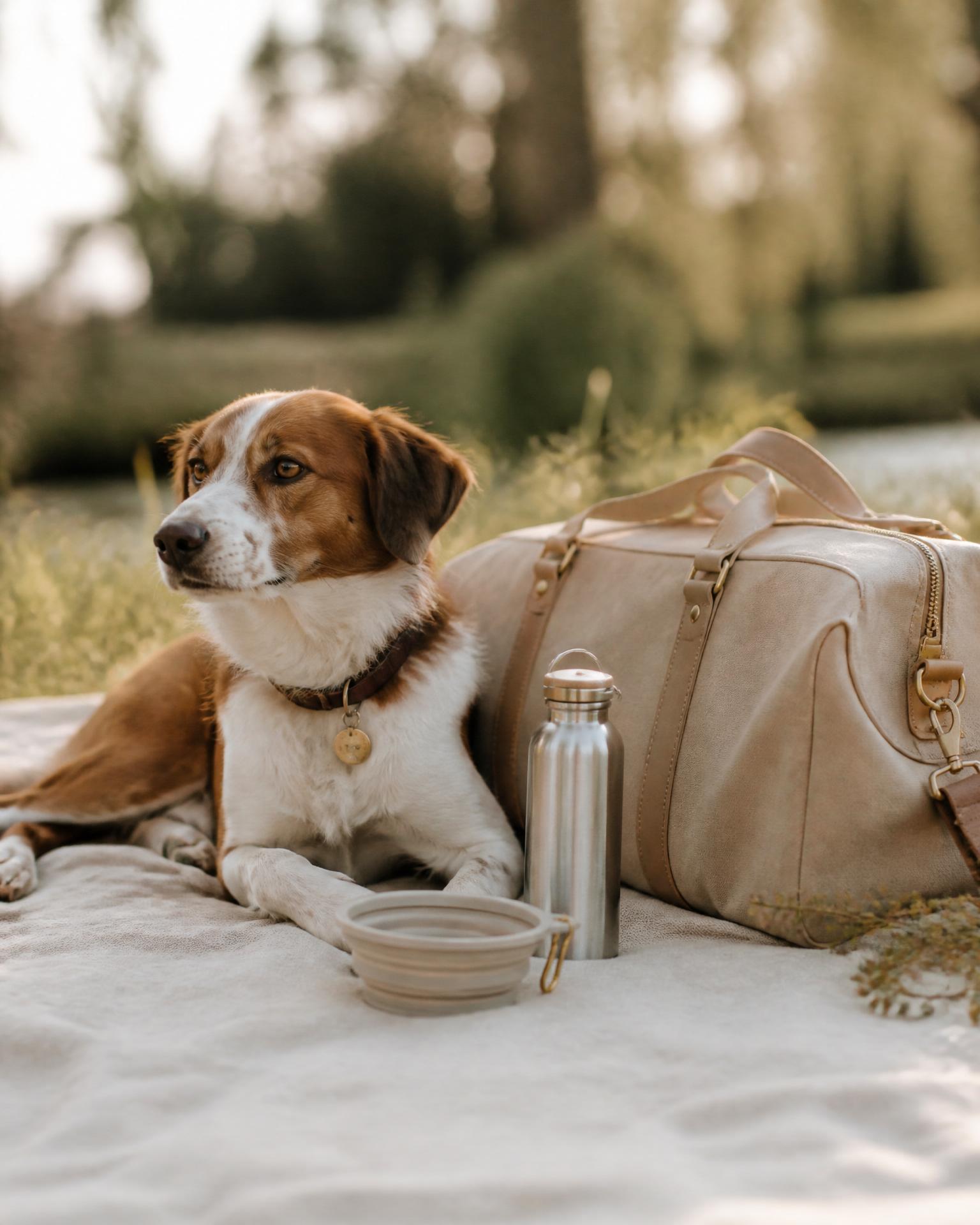 Outdoor & Reise – Kategorie im Solamarkt Hundebedarf Shop